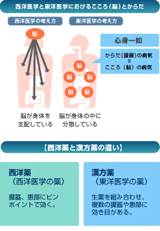 西洋医学と東洋医学におけるこころ(脳)と身体 / 【西洋薬と漢方薬の違い】