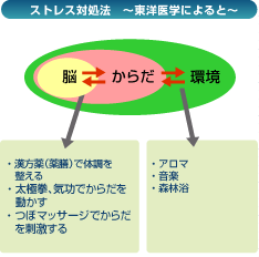 ストレス対処法～東洋医学によると～