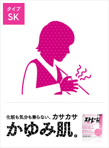 ストレージタイプSK