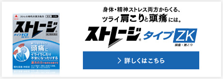 タイプZK 肩こりも頭痛もつらい！そんなアナタには、「ストレージタイプZK」[詳細はコチラ]