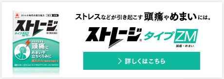 タイプZM 頭痛もめまいもつらい！そんなアナタには、「ストレージタイプZM」[詳細はコチラ]