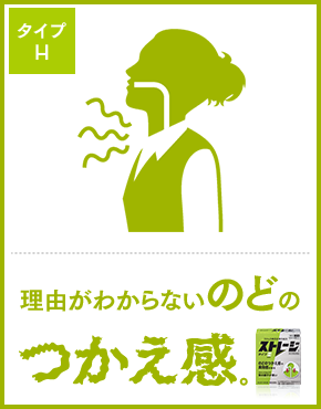 ストレージタイプH