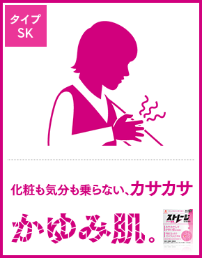 ストレージタイプSK