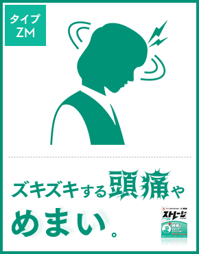 ストレージタイプZM